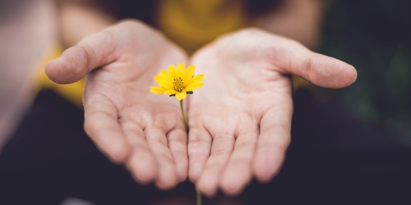 Bạn chỉ sống có một lần