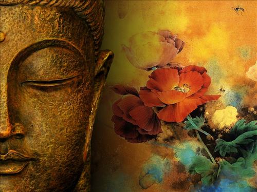  Khuyên người khác quy y có lỗi không?