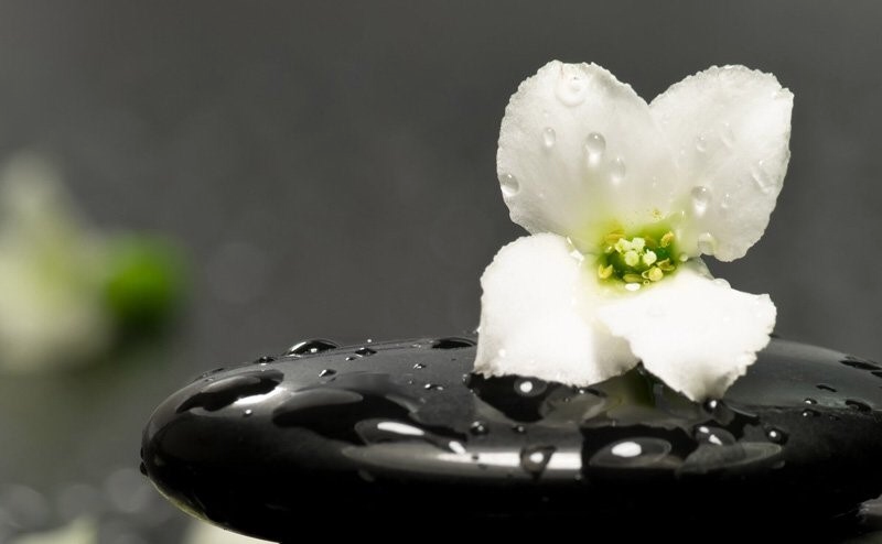 Bớt ham muốn, luôn biết đủ 