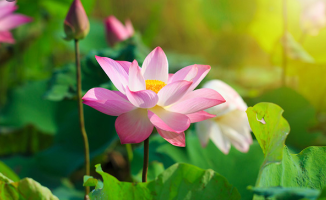 Những điều mà chúng ta cần trân quý trong cuộc sống