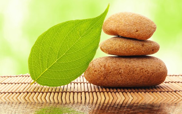 Nếu thời gian trở lại