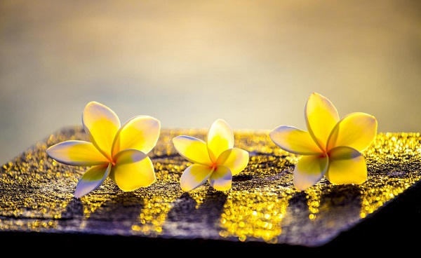 Đừng để những nhỏ nhen trỗi dậy rồi mất tất cả những điều hôm qua đã vun đắp