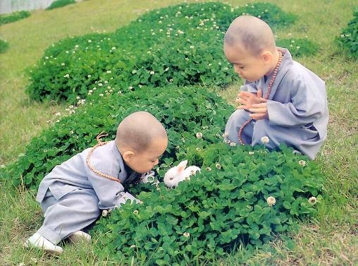 Hạnh phúc tùy cách nhìn