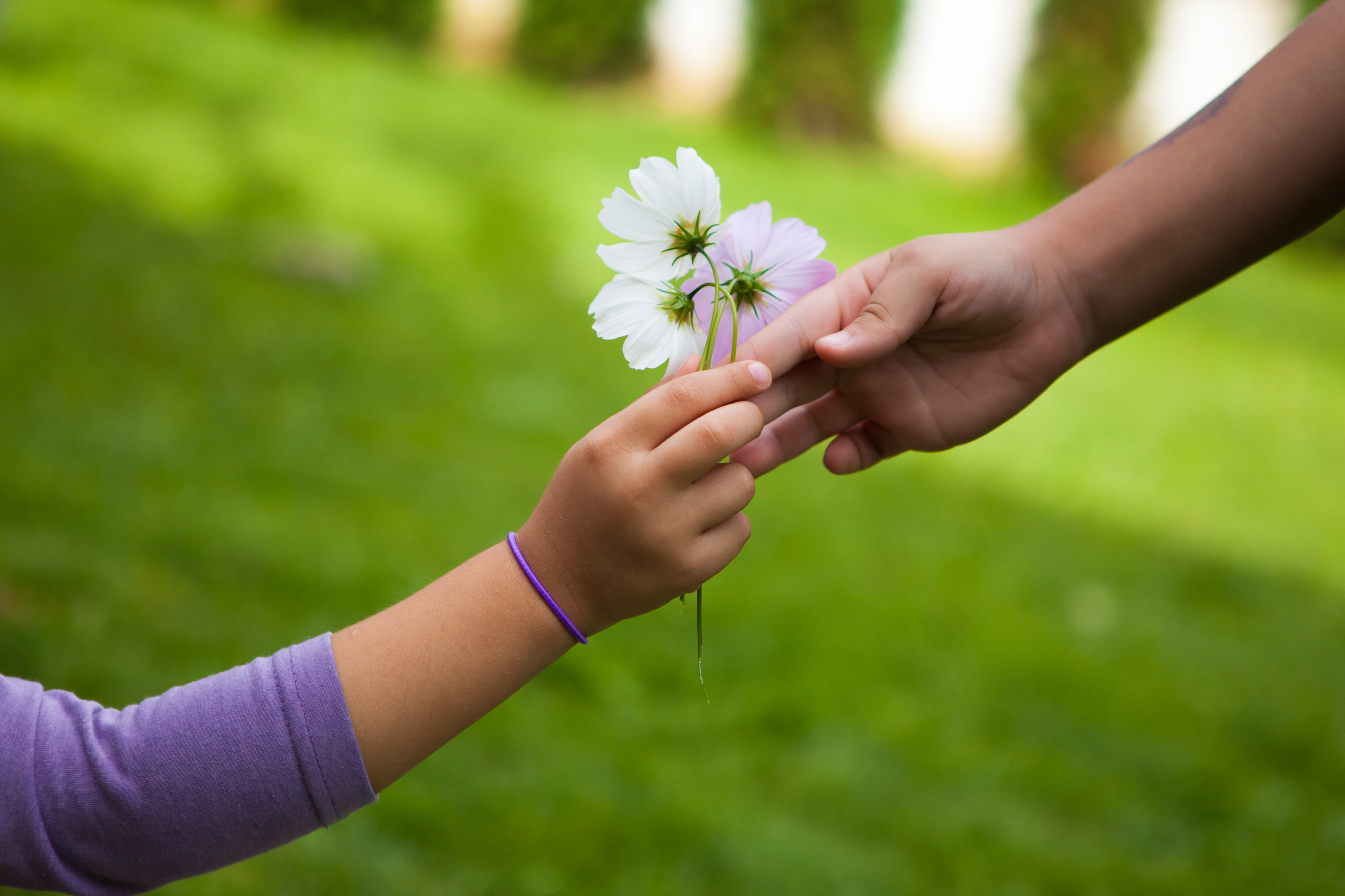 Những điều người già muốn nhắn nhủ người trẻ