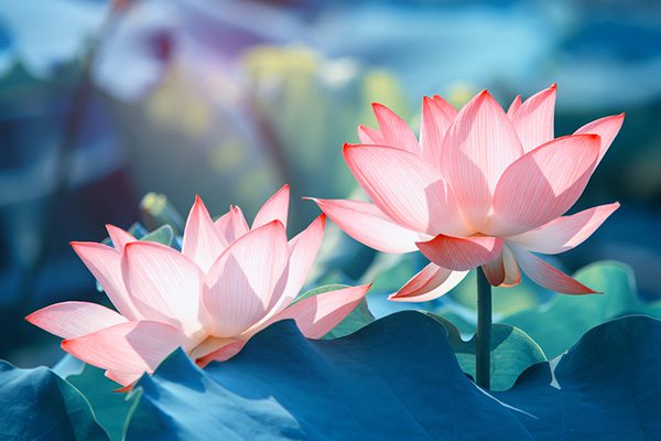 Tình yêu, thà muộn màng, còn hơn vội vã