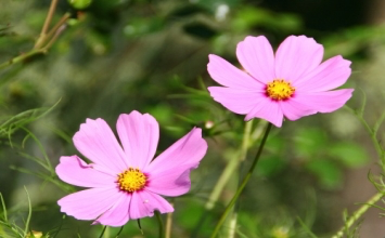 Đừng tưởng