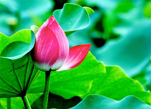 Đừng nói tôi không có thời gian
