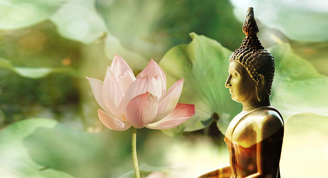  Lý thiện ác nhân quả trong nhà Phật