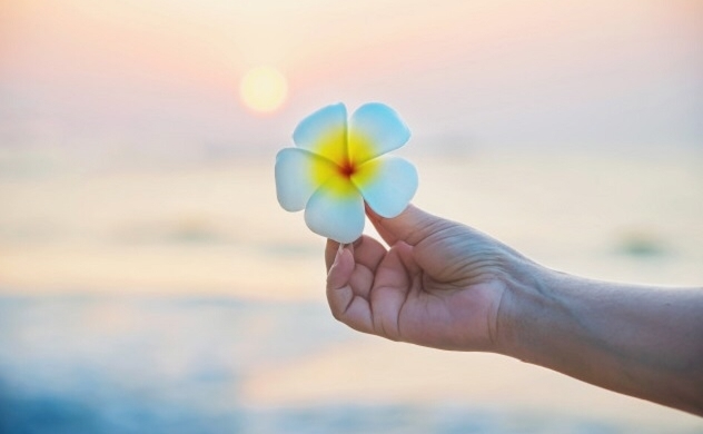 Hãy cẩn thận với một nơi mà chúng ta chọn lựa để đặt trái tim mình vào