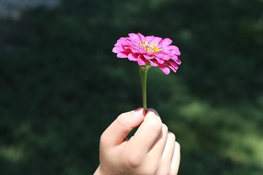 Đôi khi ít là để tận hưởng nhiều hơn