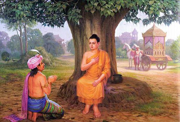  Thiền và Tịnh, pháp nào nhất?