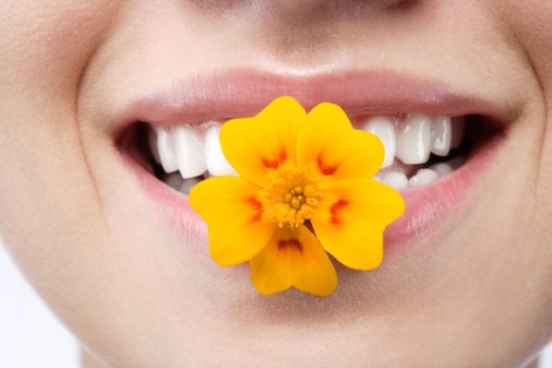Hãy nói những lời tha thứ để cuộc đời vơi bớt thương đau