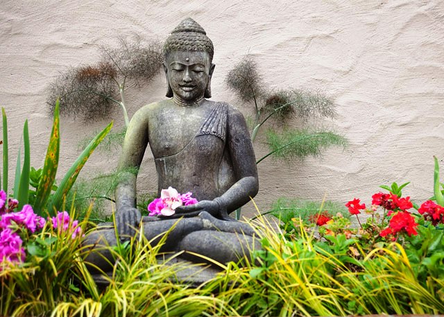 Bài học cuộc sống từ một đóa hoa nhỏ