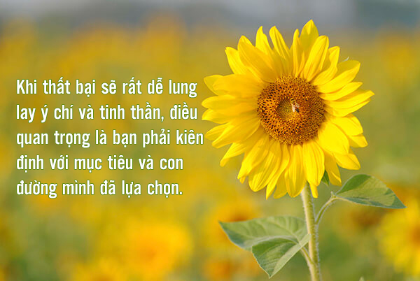 Đứng Lên Sau Thất Bại