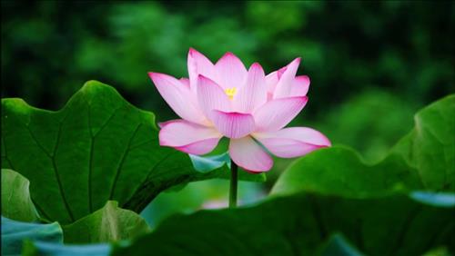 Sẽ đến lúc . . . 
