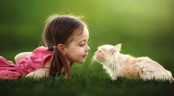 Điều bí ẩn giản dị của hạnh phúc