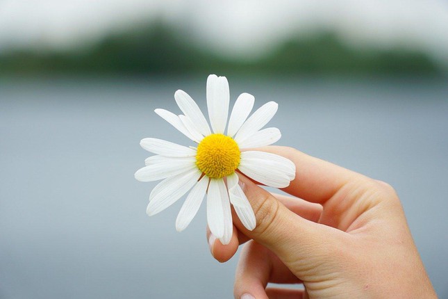 Đừng ngại thất bại khi đang còn trẻ