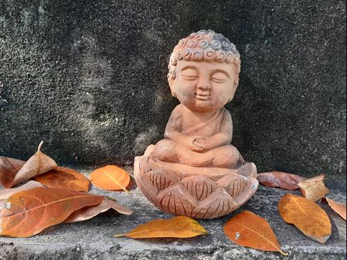 Cho và nhận
