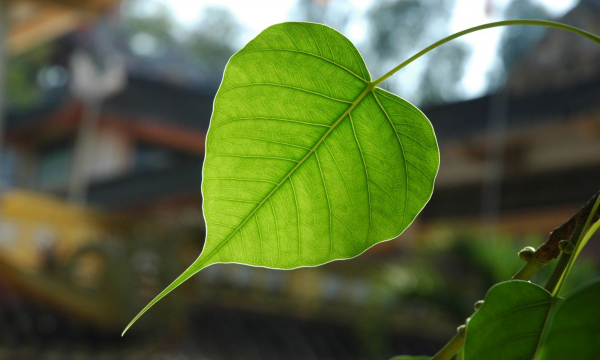 Khi gặp người mà bạn mang ơn