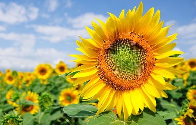 Hãy luôn tử tế và tôn trọng mọi người