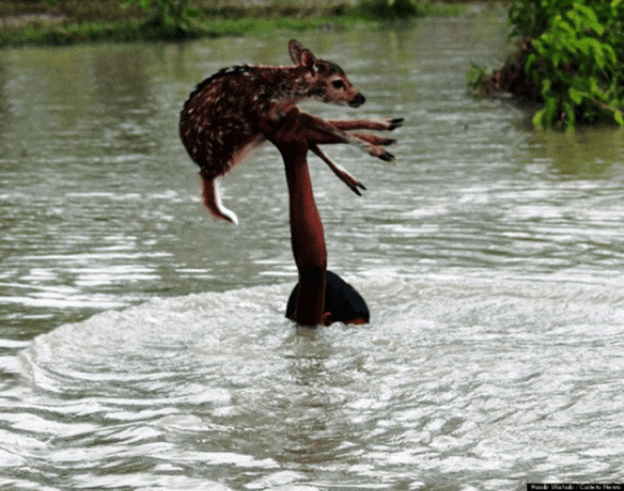 Năng làm các điều lành
