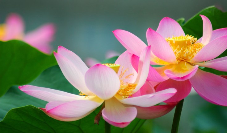 Cuộc đời nhiều âu lo, do đâu?