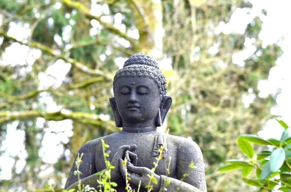 Ngủ vừa đủ  