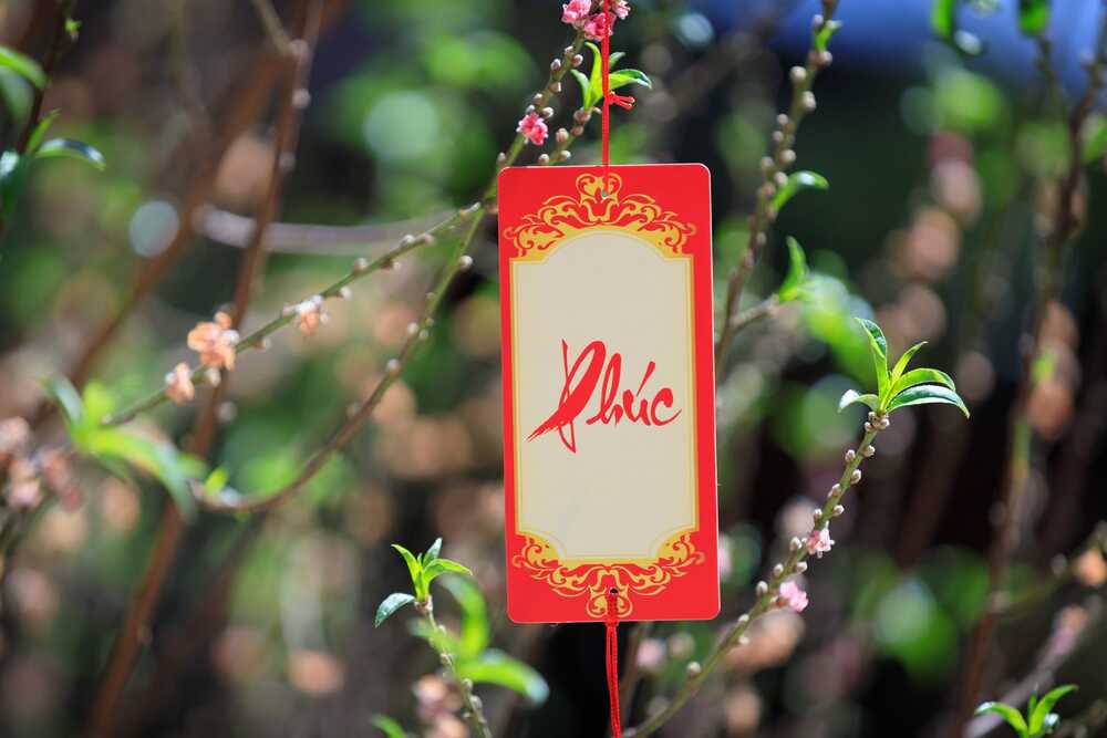 Những lời chúc Tết đúng Chánh Pháp