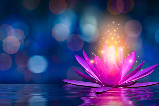 Những ngày tâm còn động