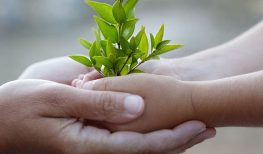 Làm thế nào để dung thứ cho người cố tình làm chúng ta đau khổ