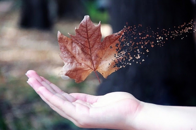 Hãy cảm ơn tất cả những sóng gió xảy ra trong cuộc đời bạn