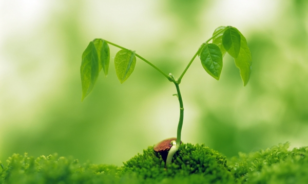 Chúng ta cần phải biết ơn khổ đau vì khổ đau vừa giúp ta ý thức được cái gì là hạnh phúc