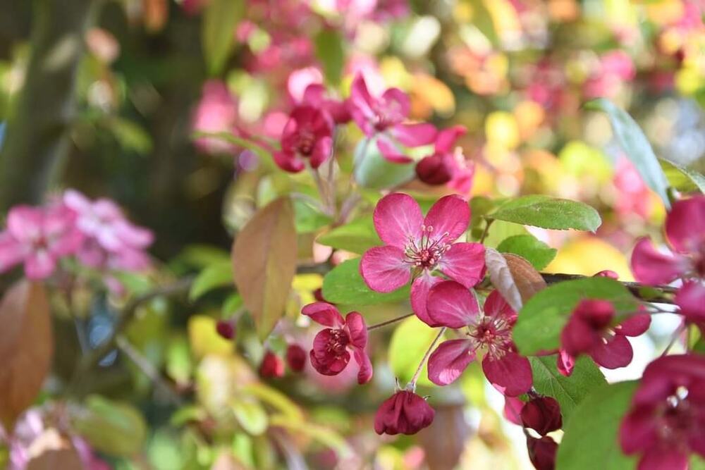 Quả báo bội tín vong nghĩa