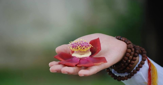 Chỉ cần mình nghĩ thoáng 