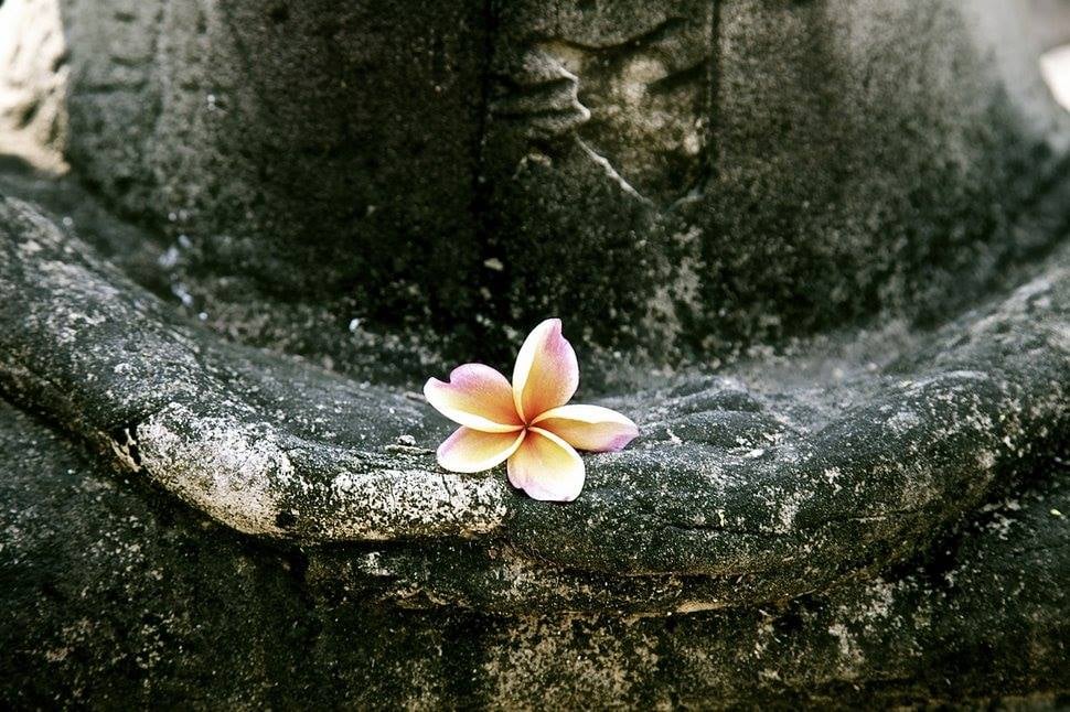 Đừng chỉ nghe một chiều