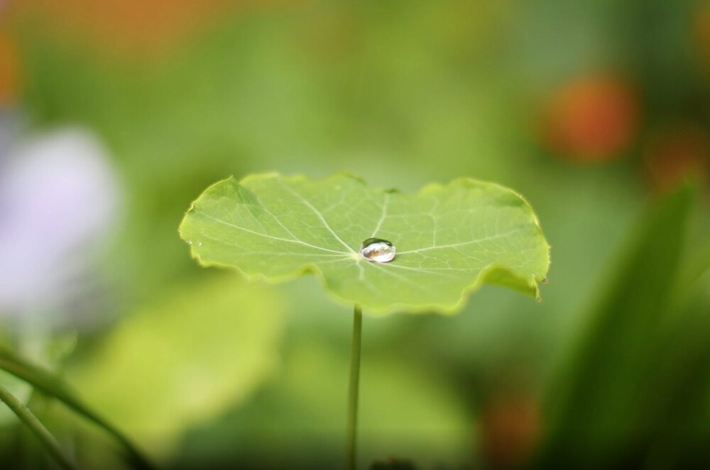 Cho đi, rồi sẽ nhận lại