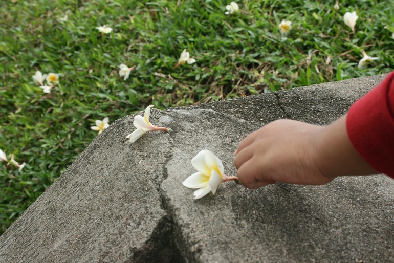 Tâm chân thật