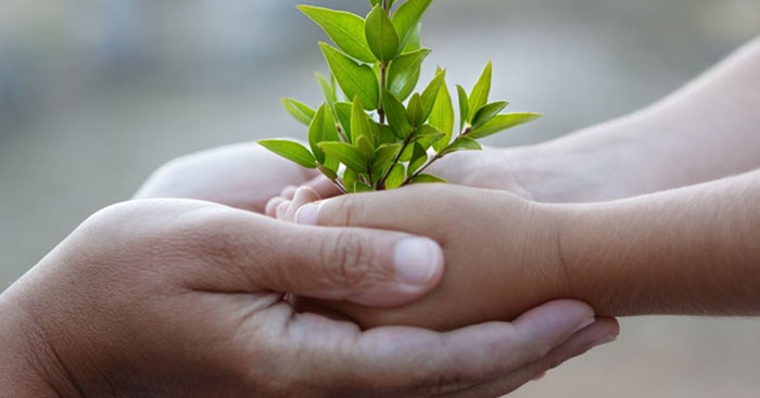 Ở đời có tâm có đức mặc sức mà ăn!