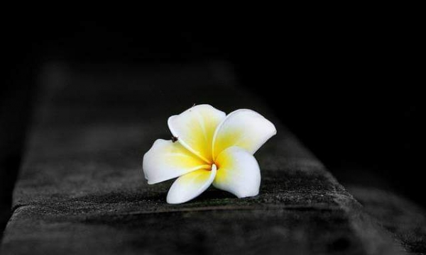 Sống tốt ắt có phúc báo