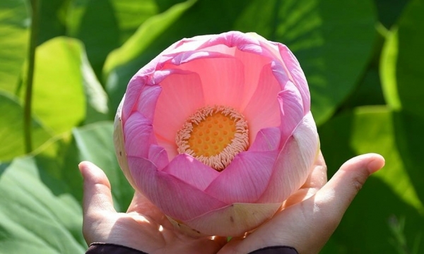 Hạnh phúc đơn giản và bình dị hơn nhiều so với những gì người ta vẫn nghĩ