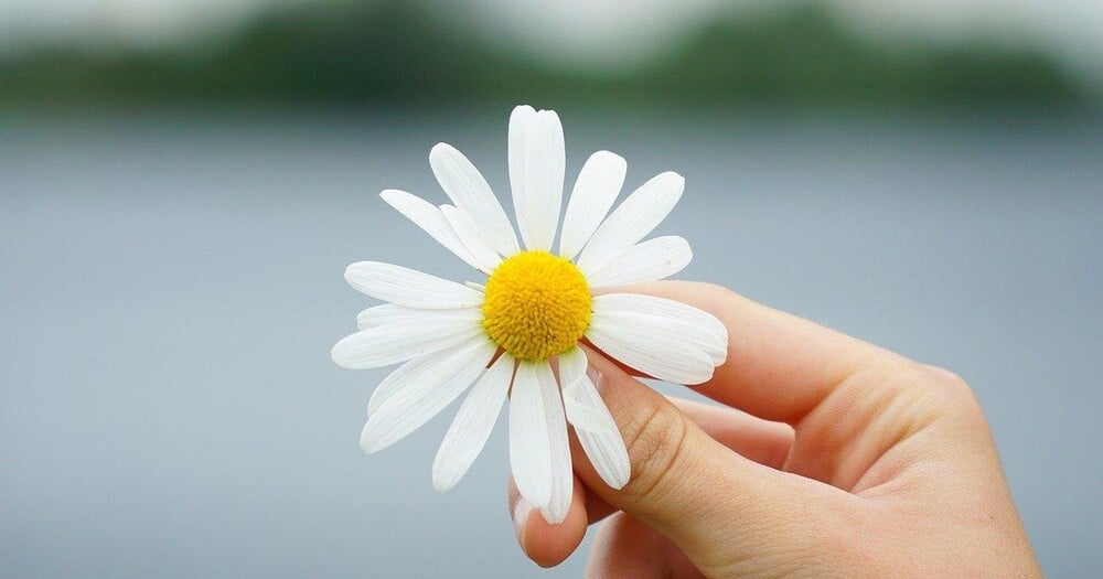 Càng bình thản thì cuộc sống càng vui vẻ, an nhiên