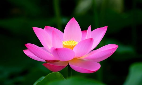Tha thứ có nghĩa là bạn đang chấp nhận những gì đã xảy ra