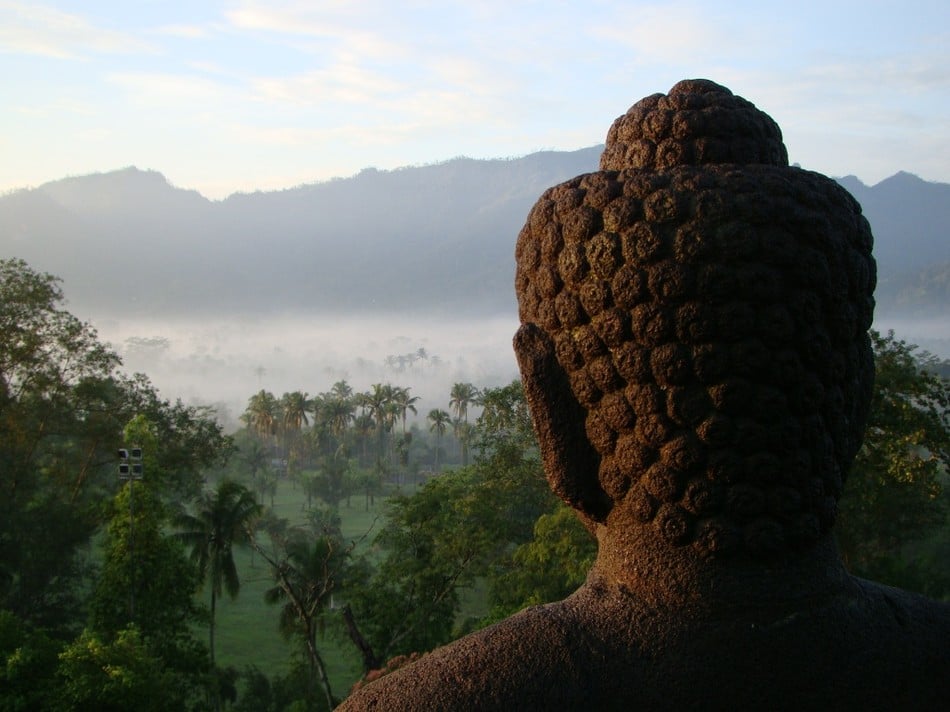 Vô minh và tuệ giác