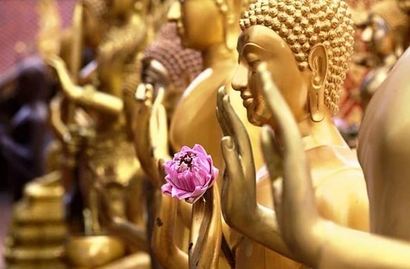 Trì danh hiệu Phật hơn cả trăm năm bố thí