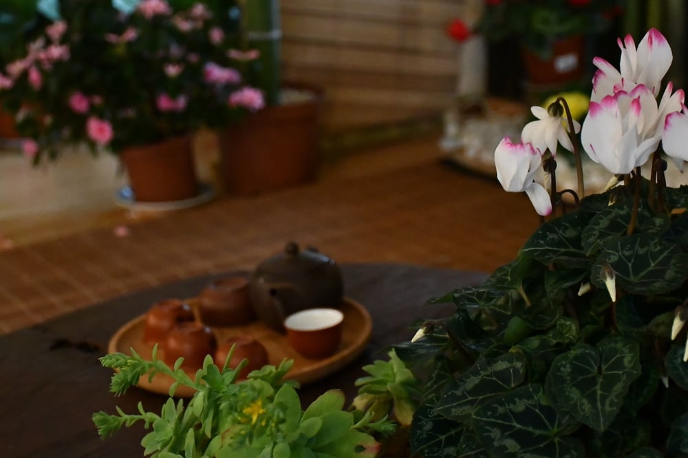 Câu chuyện về ấm trà