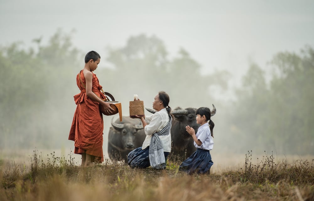 Mua điều nhân nghĩa