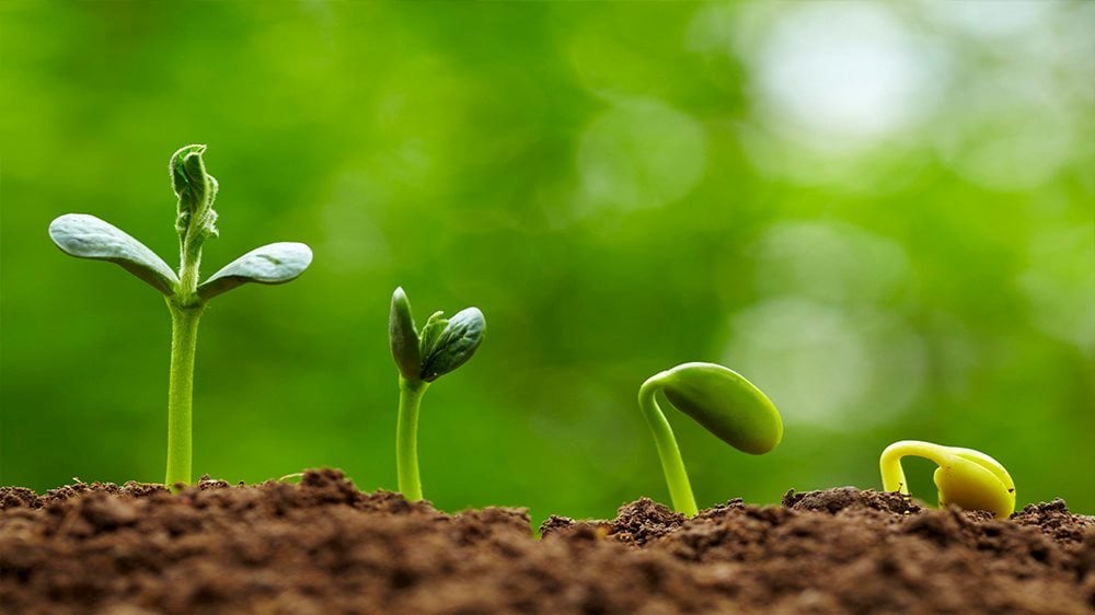Nhà lớn cửa to không hẳn đã an toàn, chỉ một trận động đất có thể chôn vùi tất cả