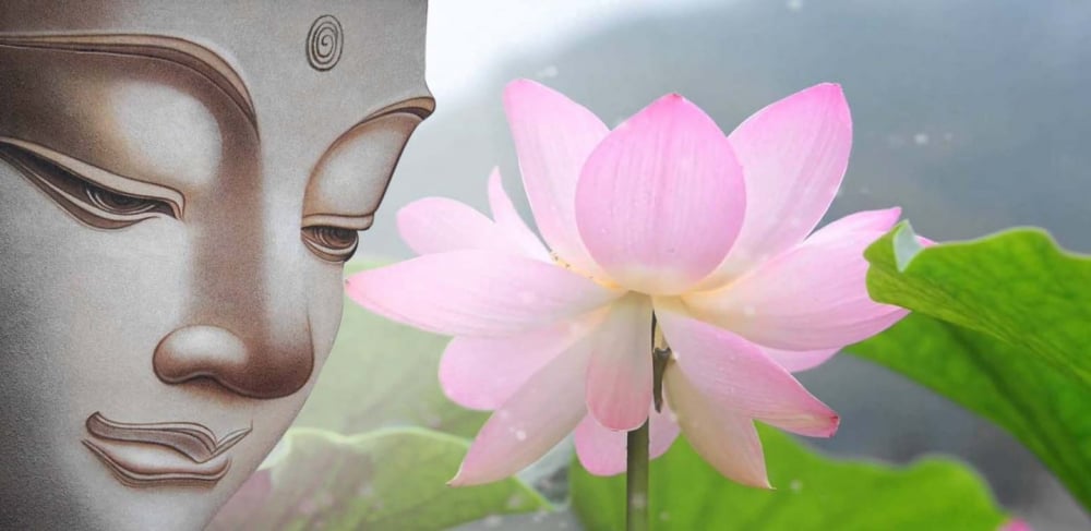 Tâm người như vết thương
