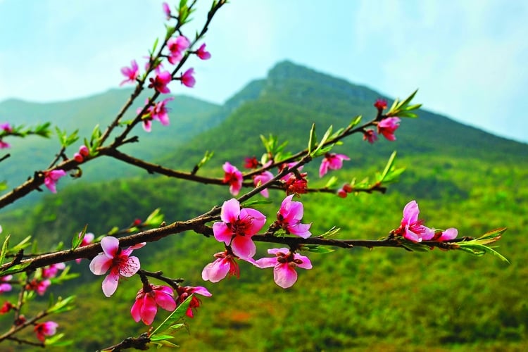 Khổ đau bắt nguồn từ sự mong cầu hạnh phúc cho bản thân mình