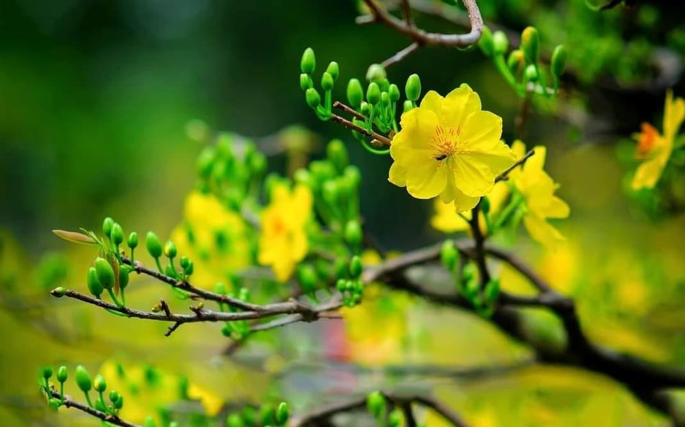 Thế gian kẹt trong thời gian vô thường